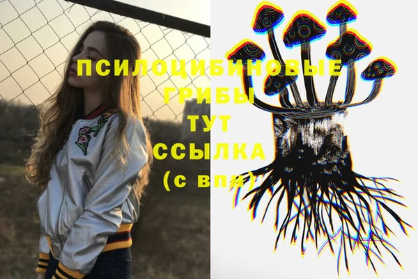 тгк Аркадак