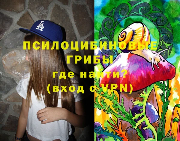 первитин Арсеньев