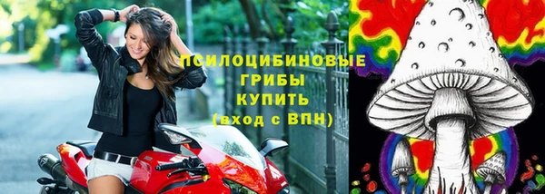 первитин Арсеньев